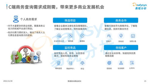 中國(guó)商業(yè)查詢(xún)市場(chǎng)分析2021